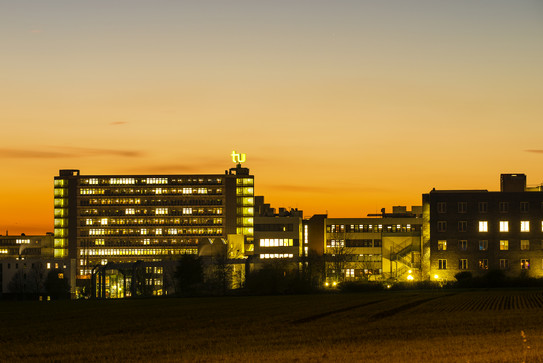 Campus bei Nacht