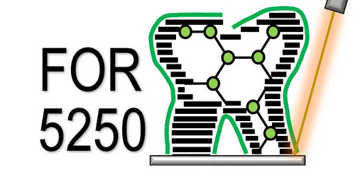 Logo FOR 5250