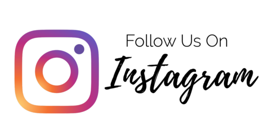 Instagram Icon