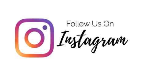 Instagram Icon