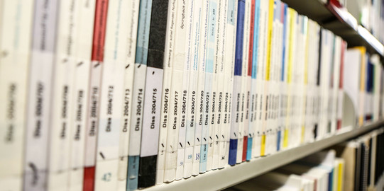 Books with the inscription dissertation on a bookshelf in the library.